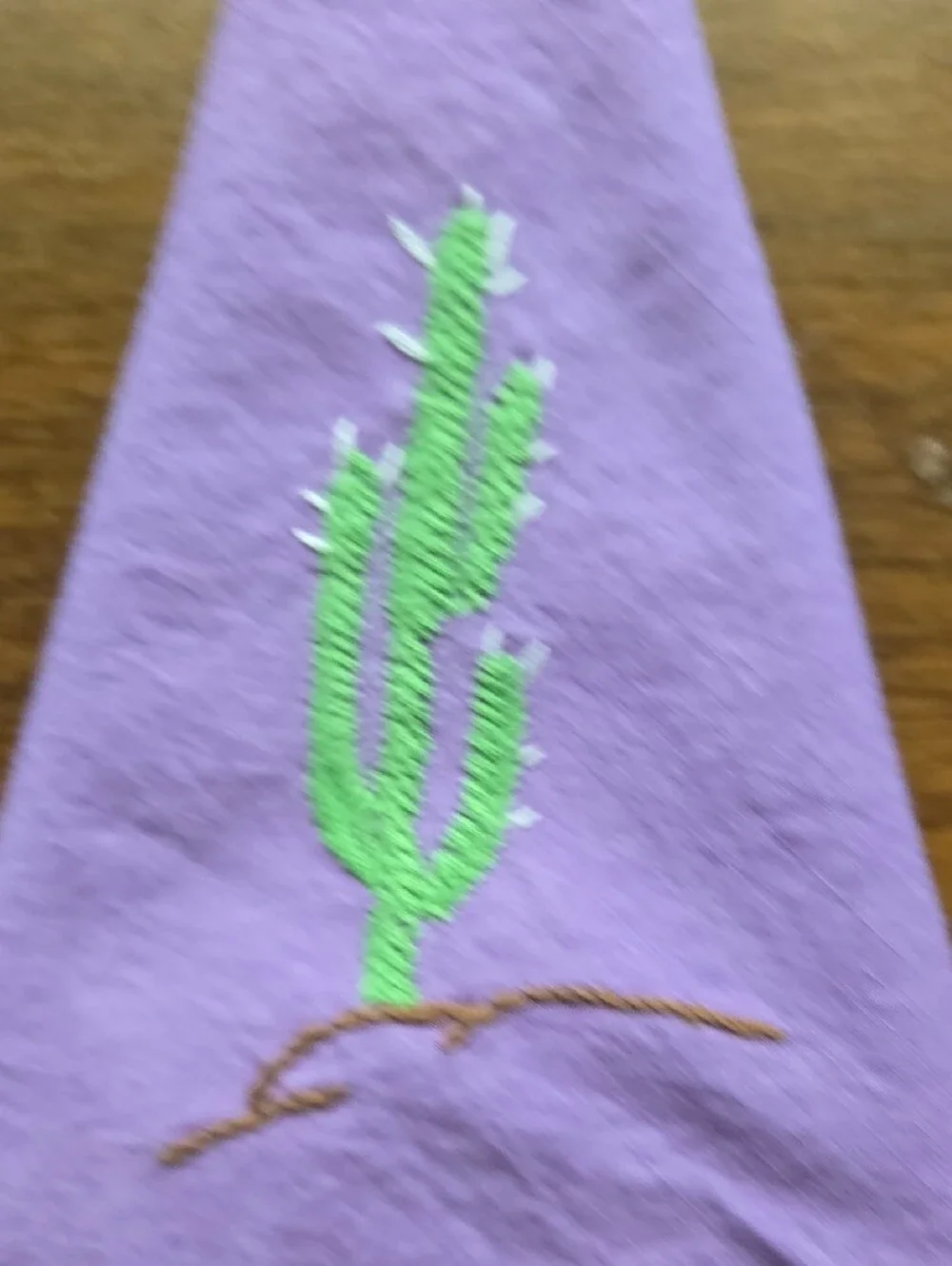 Hand-Embroidered Cactus Cocktail Napkins - Multicolor Set